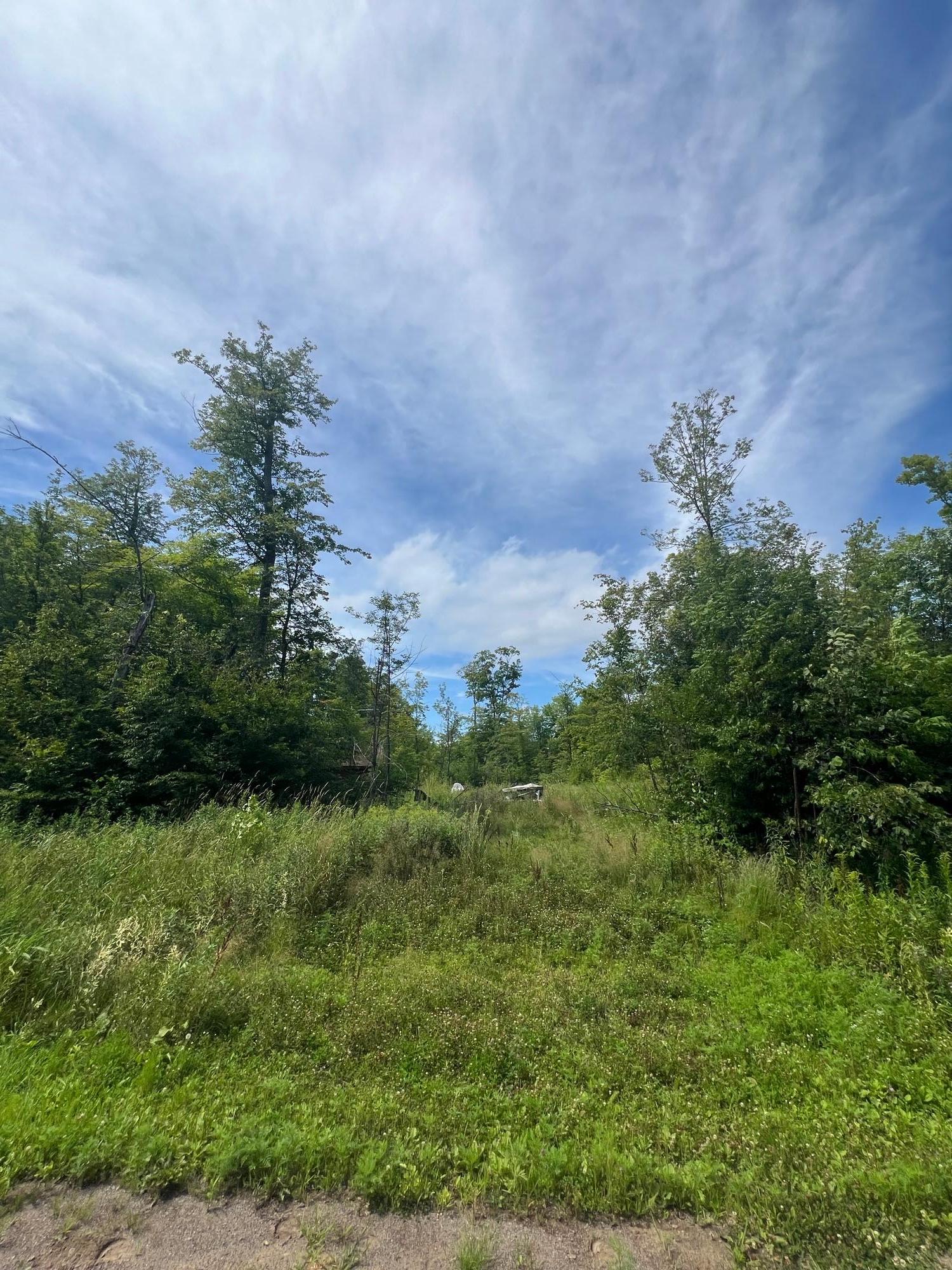 2002 land for sale at 32530 186th Street in Isle, MN (photo 12 of 14)