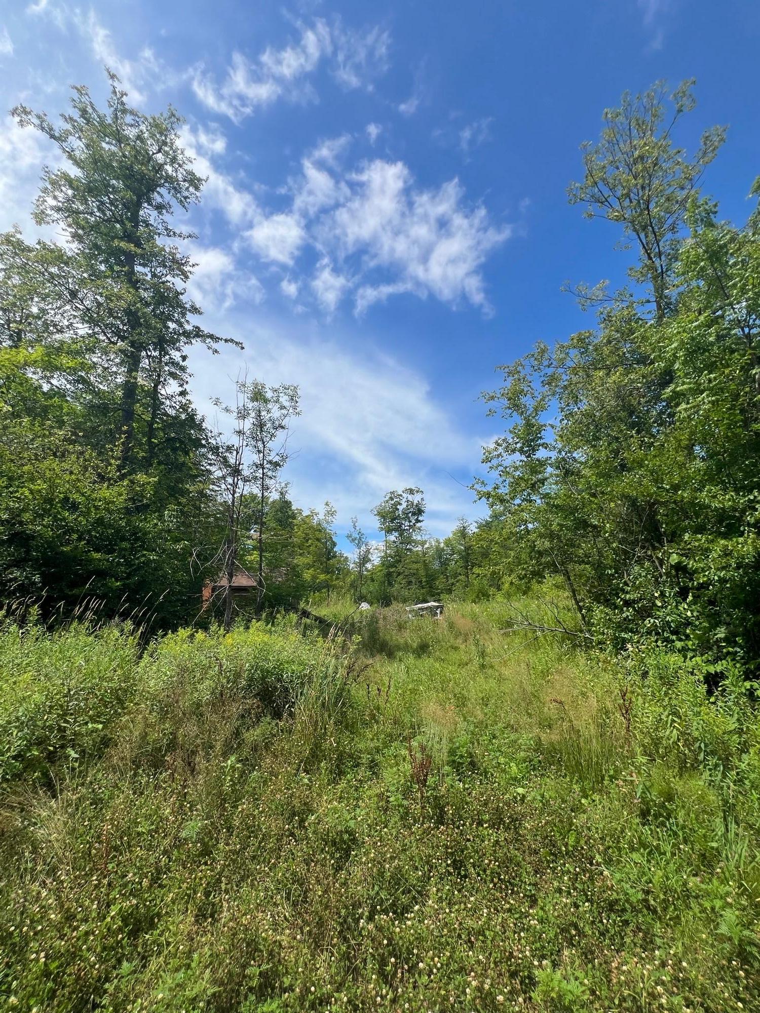2002 land for sale at 32530 186th Street in Isle, MN (photo 3 of 14)