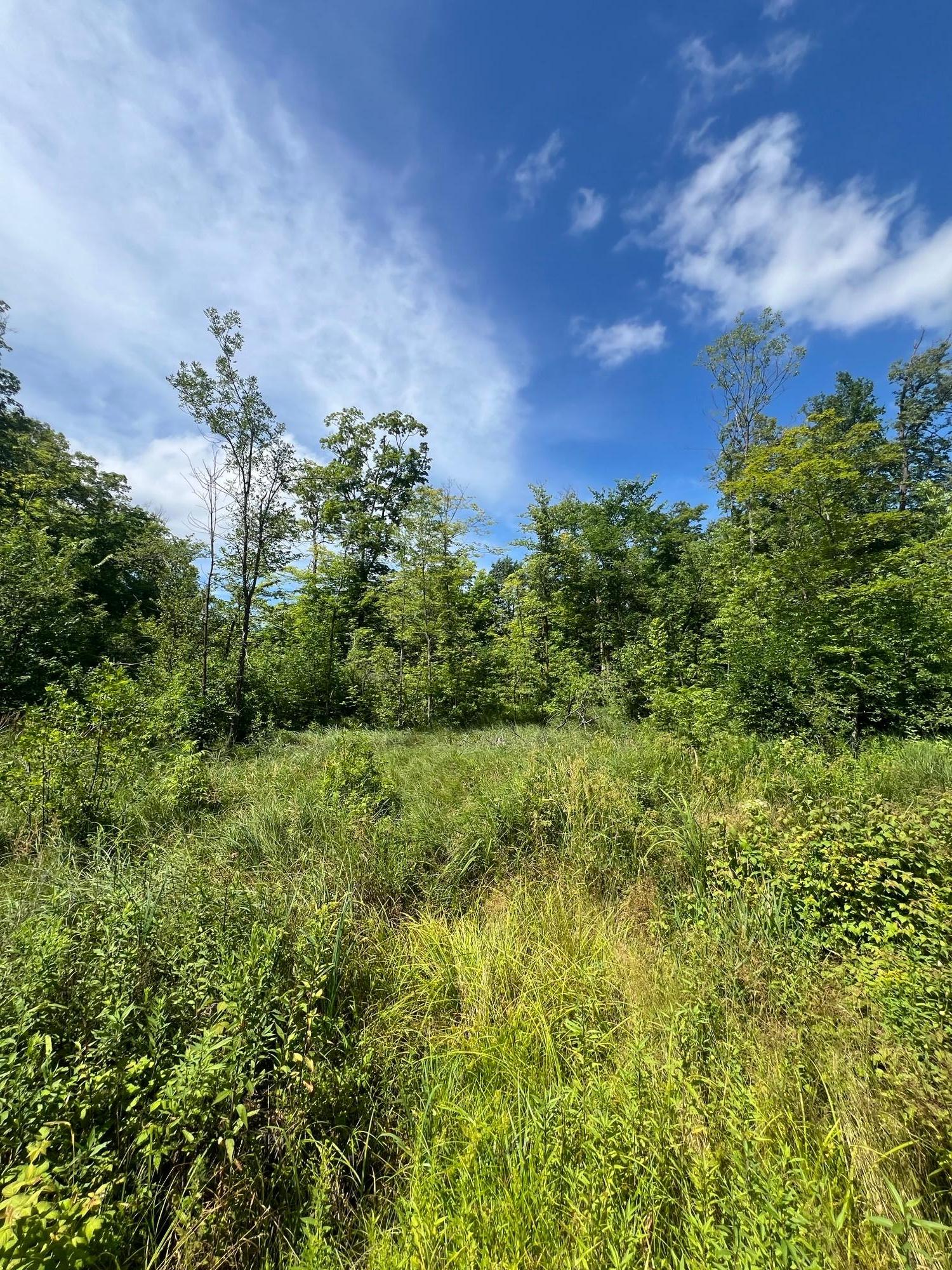 2002 land for sale at 32530 186th Street in Isle, MN (photo 6 of 14)