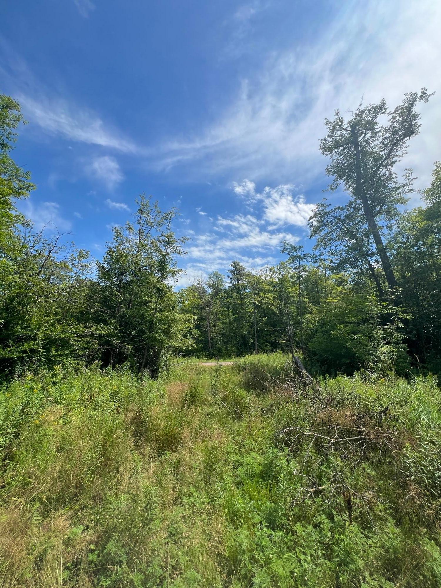 2002 land for sale at 32530 186th Street in Isle, MN (photo 8 of 14)