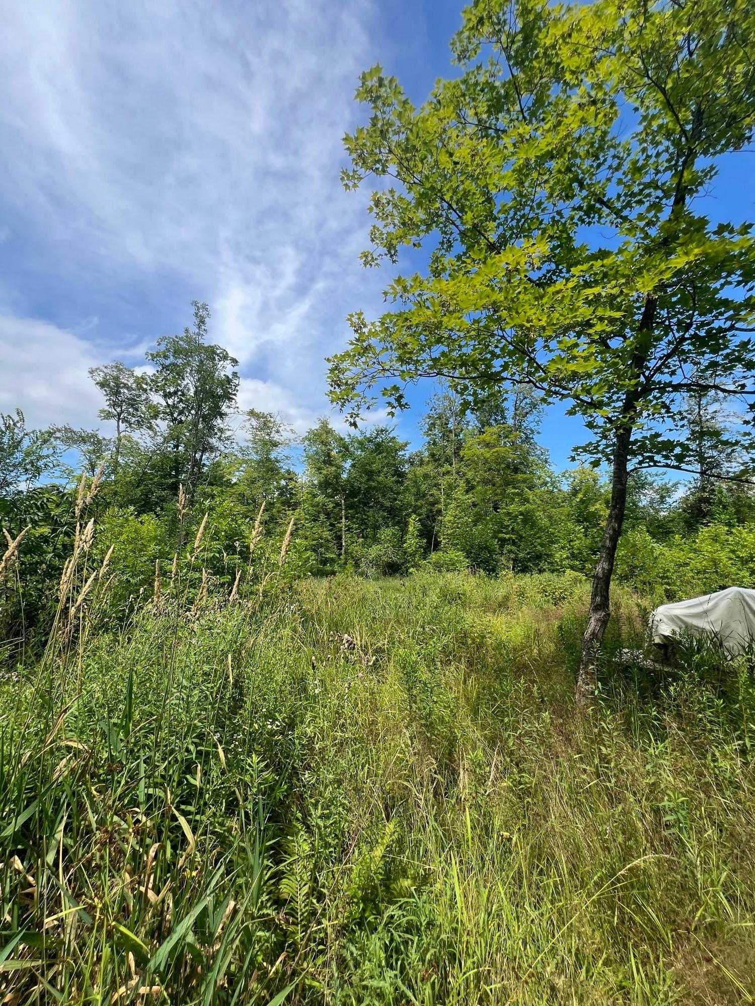 2002 land for sale at 32530 186th Street in Isle, MN (photo 10 of 14)
