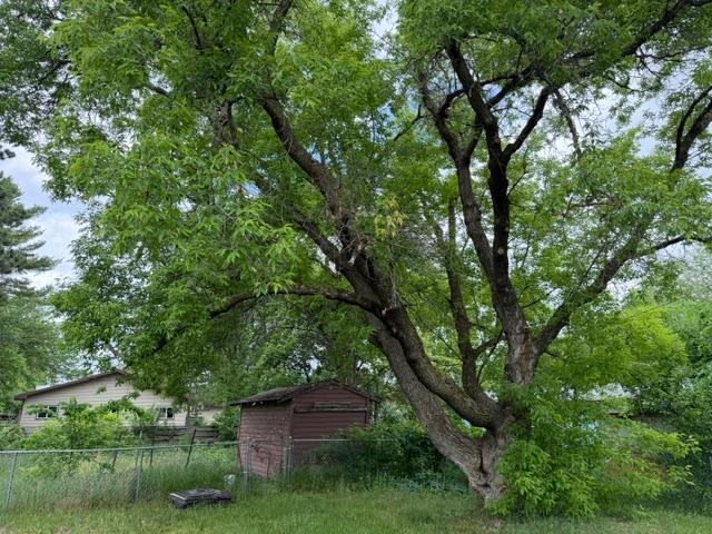 1977 single family home for sale at 407 Lake Avenue in Park Rapids, MN — 4 bed, 2 bath (photo 4 of 27)