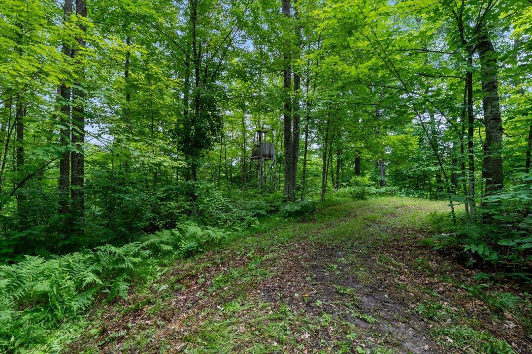 4608 State 371 NW, Hackensack MN 56452 - Photo 38 of 71