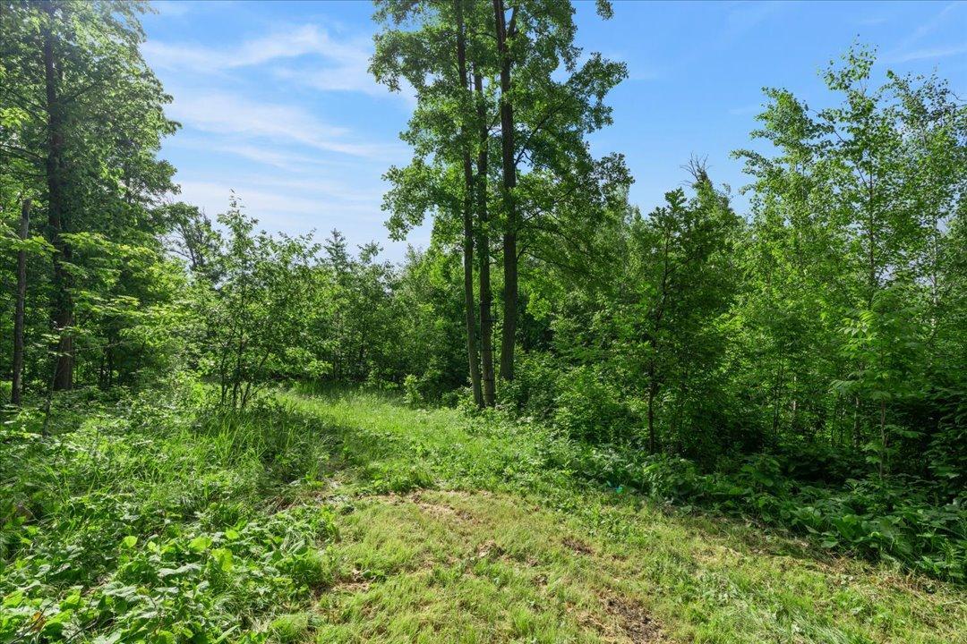 4608 State 371 NW, Hackensack MN 56452 - Photo 42 of 71