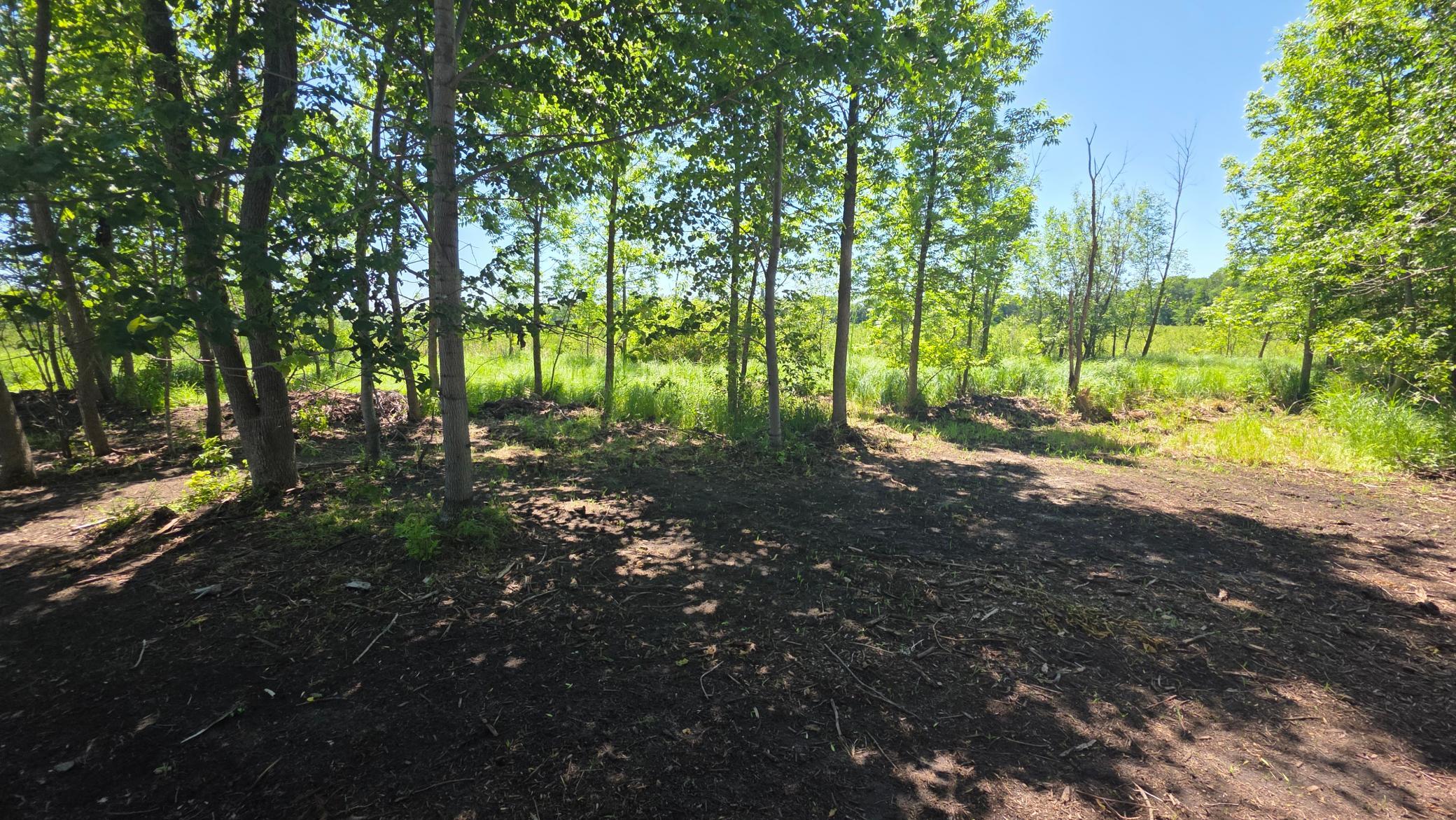 129XX W Abbey Lake Lane, Detroit Lakes MN 56501 - Photo 11 of 19