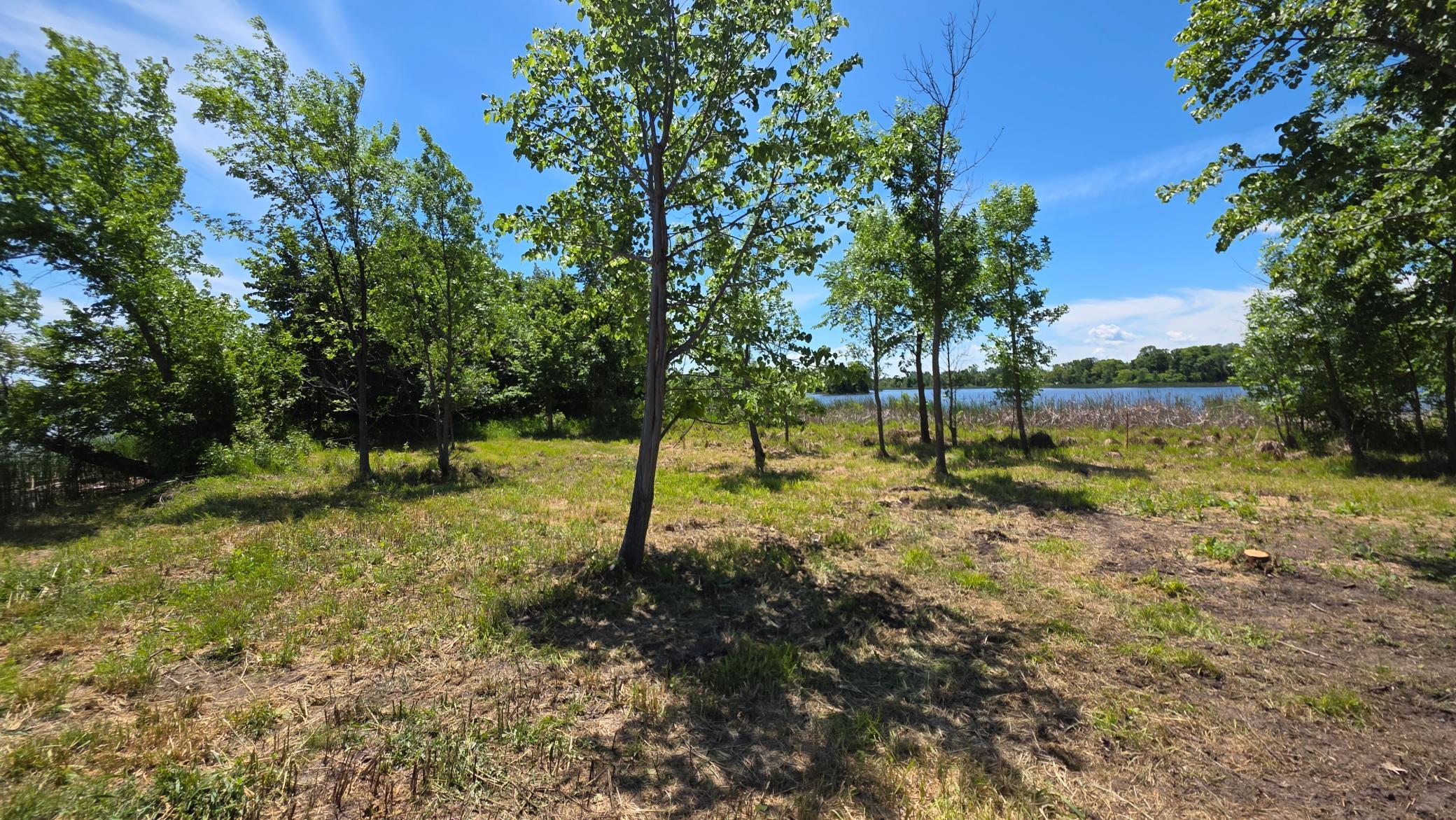 129XX W Abbey Lake Lane, Detroit Lakes MN 56501 - Photo 15 of 19
