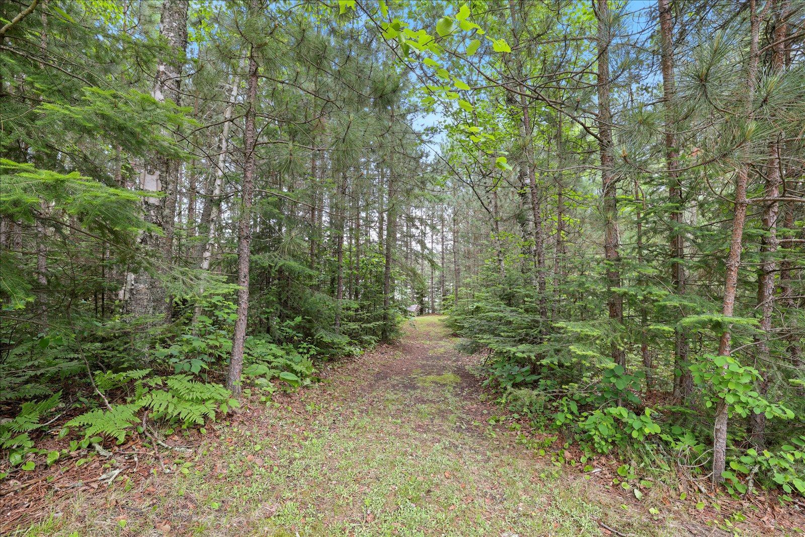 51946 N Wasson Lake Rd, Bigfork MN 56628 - Photo 32 of 52