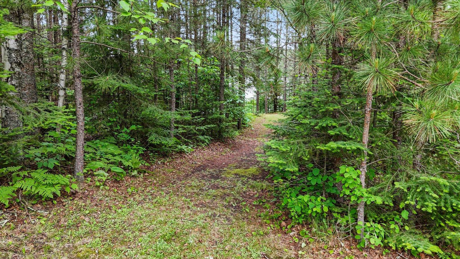 51946 N Wasson Lake Rd, Bigfork MN 56628 - Photo 33 of 52