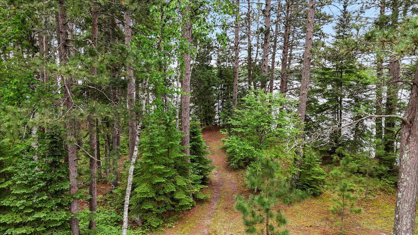 51946 N Wasson Lake Rd, Bigfork MN 56628 - Photo 34 of 52