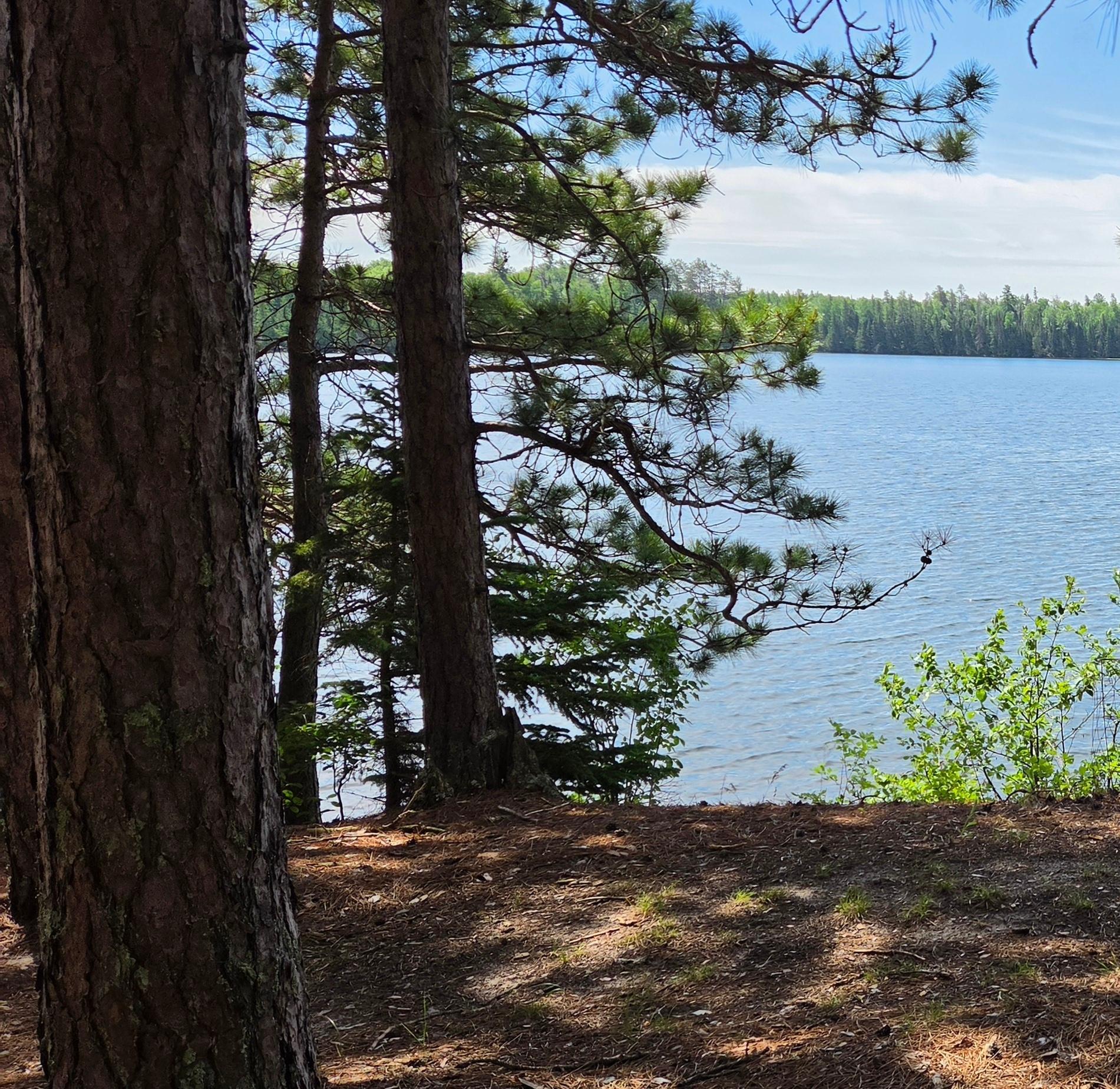51946 N Wasson Lake Rd, Bigfork MN 56628 - Photo 36 of 52