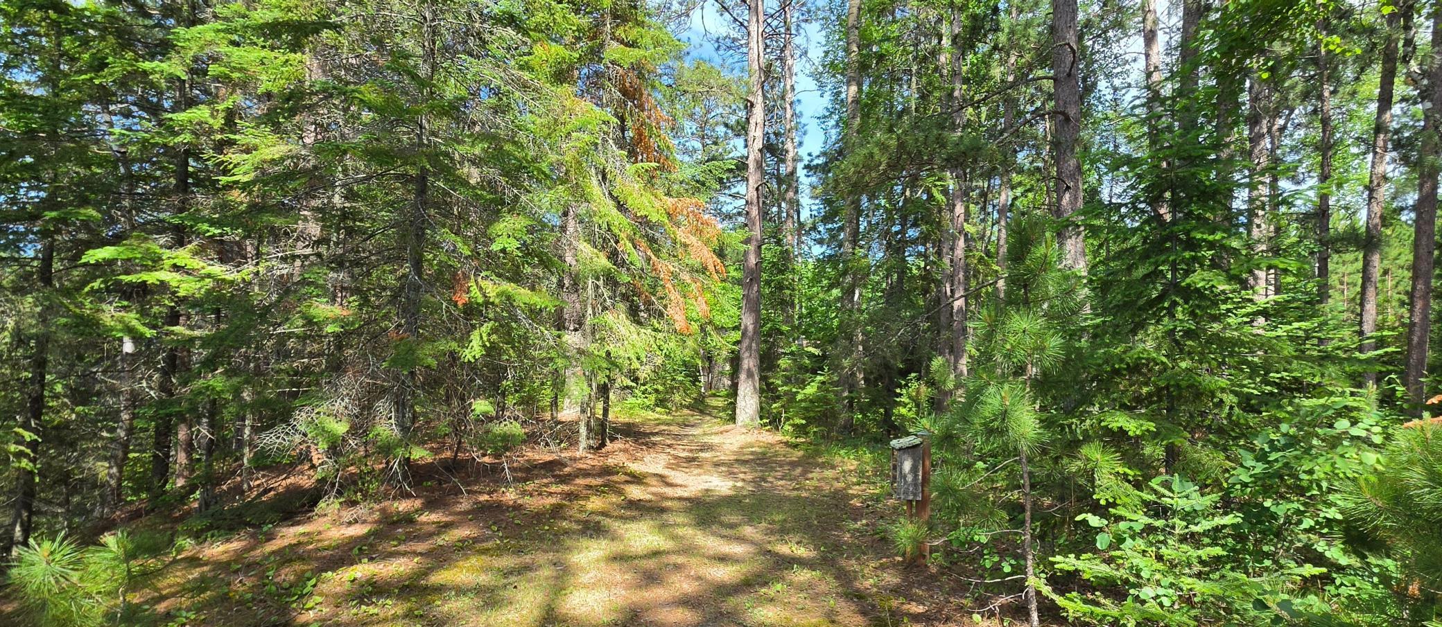 51946 N Wasson Lake Rd, Bigfork MN 56628 - Photo 41 of 52