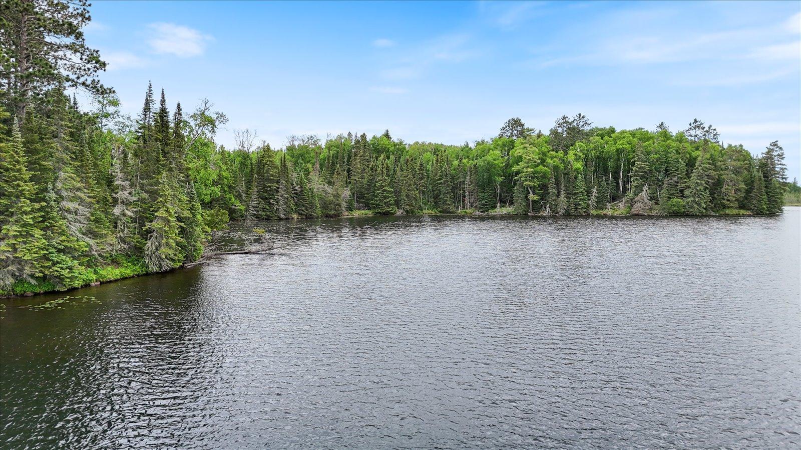 51946 N Wasson Lake Rd, Bigfork MN 56628 - Photo 47 of 52