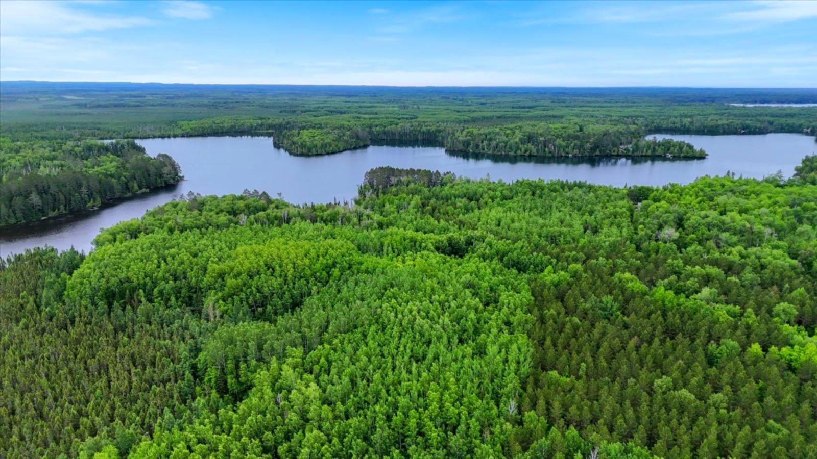 51946 N Wasson Lake Rd, Bigfork MN 56628 - Photo 49 of 52