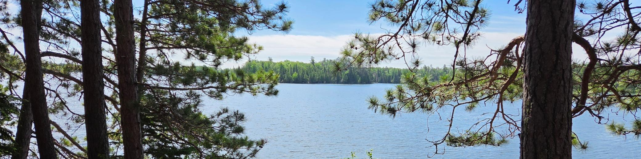 51946 N Wasson Lake Rd, Bigfork MN 56628 - Photo 50 of 52