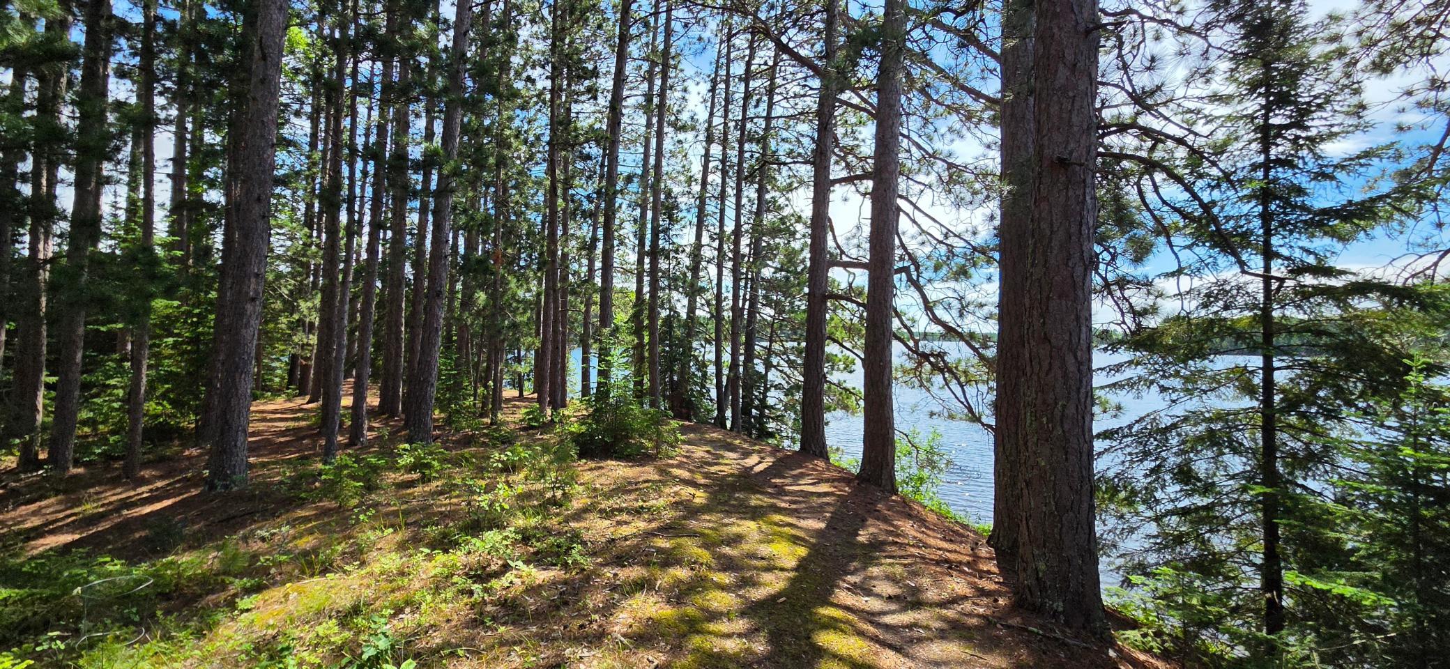 51946 N Wasson Lake Rd, Bigfork MN 56628 - Photo 6 of 52