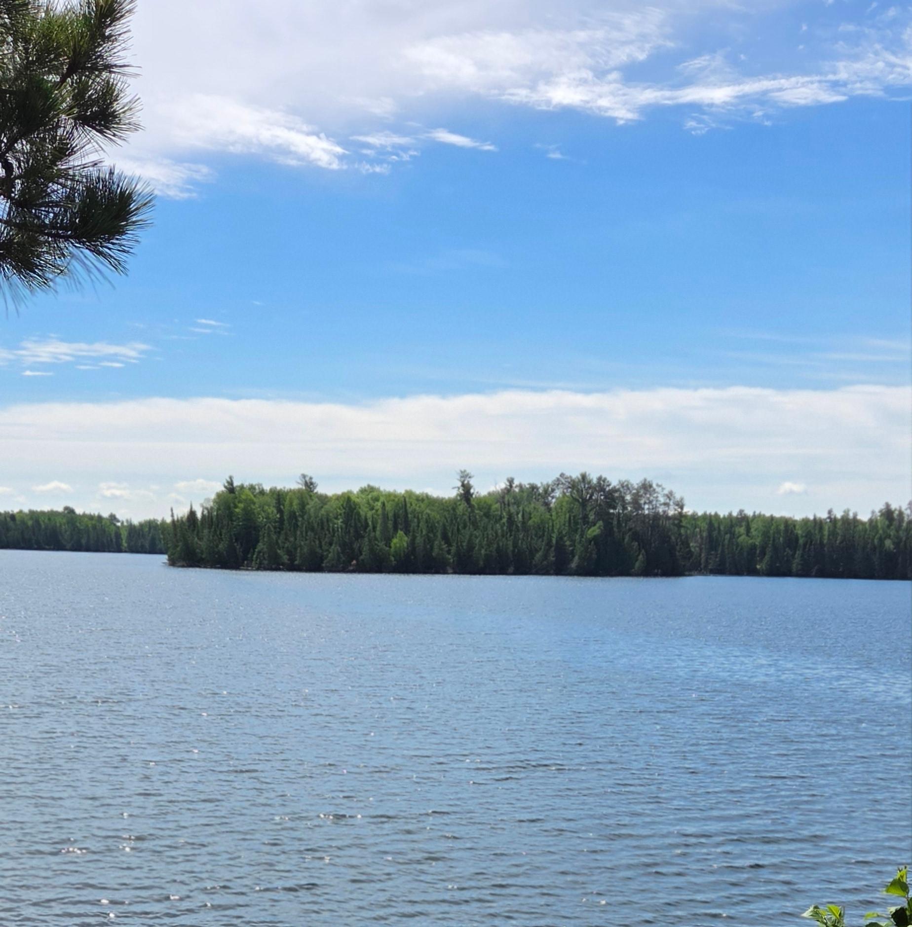 51946 N Wasson Lake Rd, Bigfork MN 56628 - Photo 51 of 52