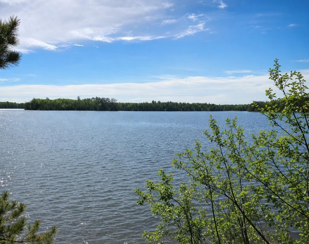 51946 N Wasson Lake Rd, Bigfork MN 56628 - Photo 52 of 52
