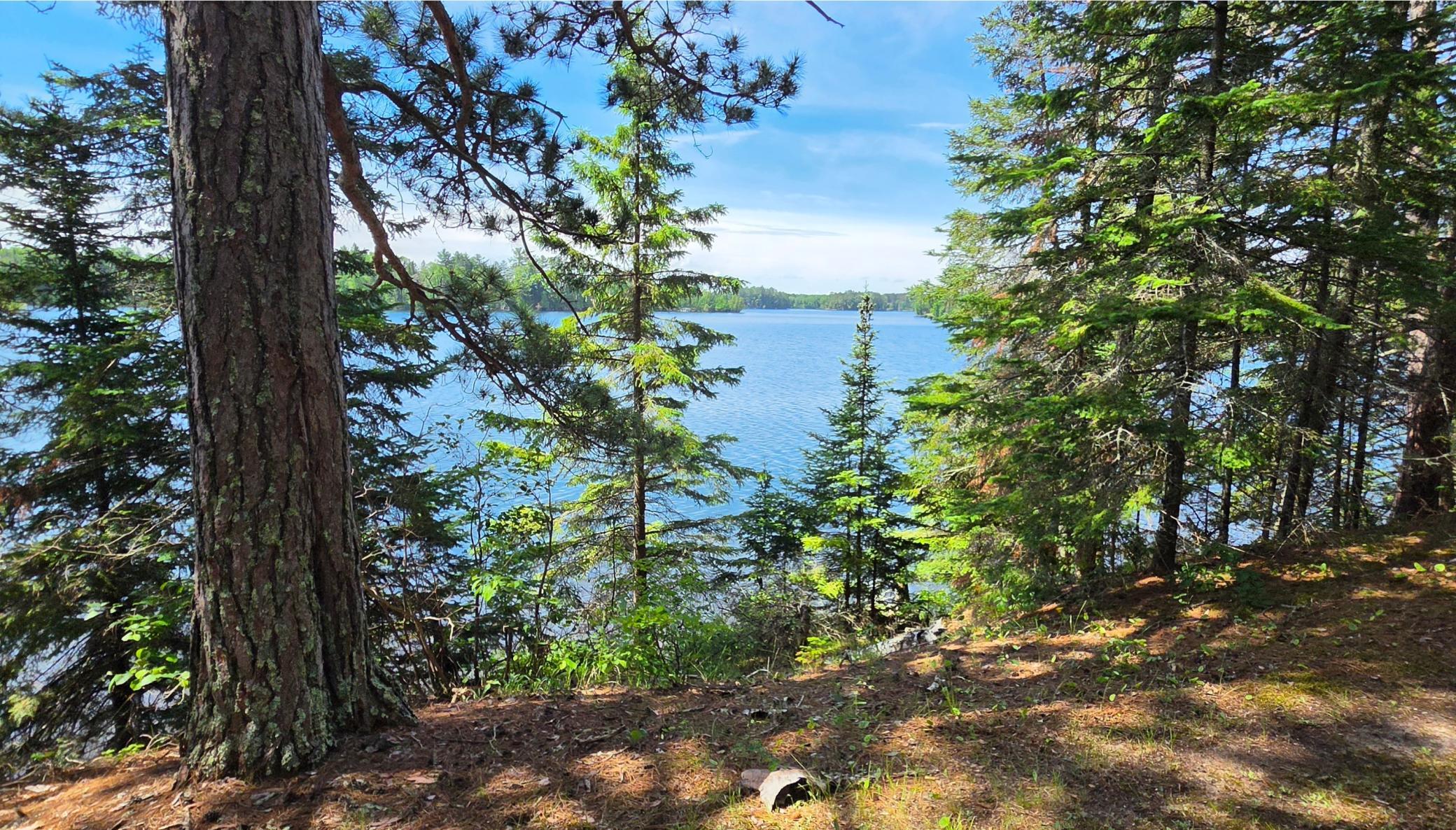 51946 N Wasson Lake Rd, Bigfork MN 56628 - Photo 7 of 52
