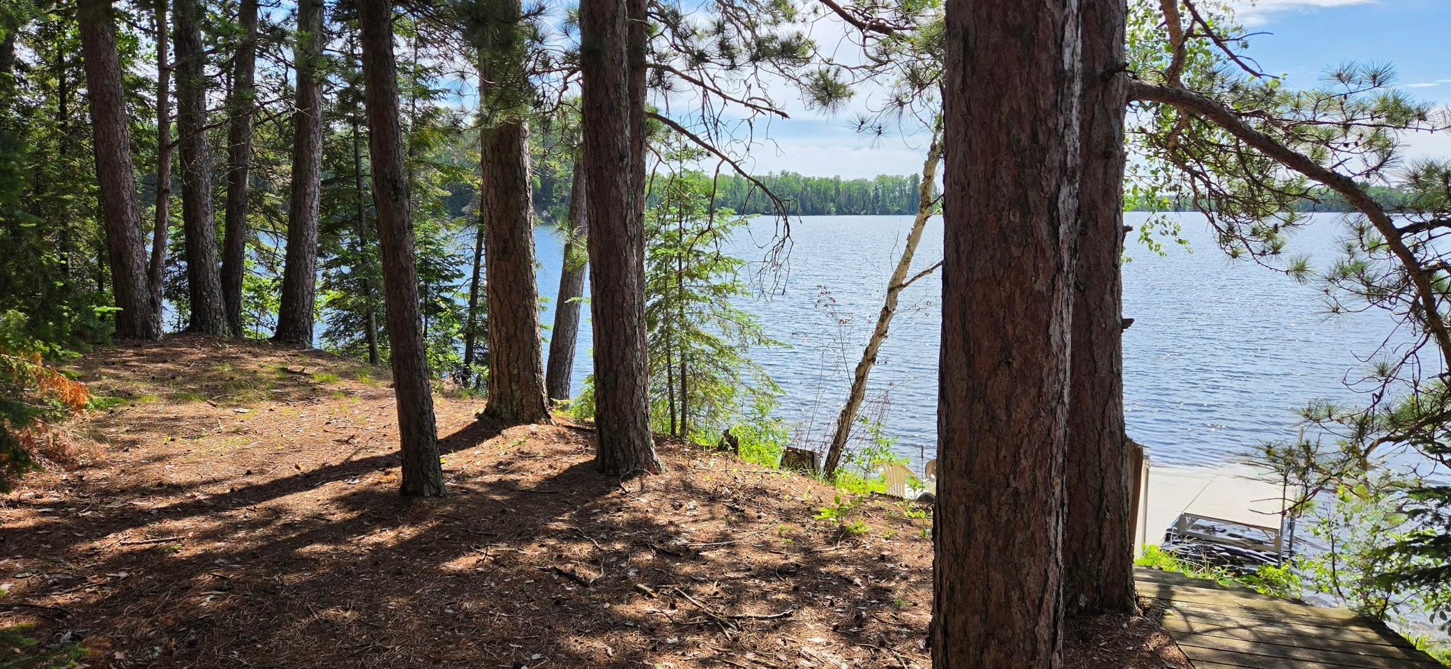 51946 N Wasson Lake Rd, Bigfork MN 56628 - Photo 8 of 52