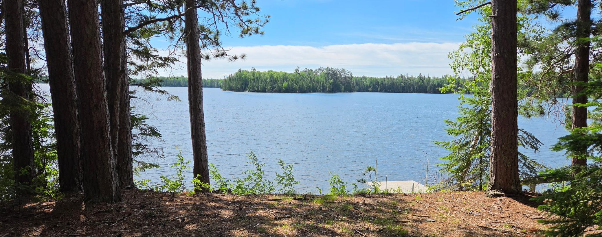 51946 N Wasson Lake Rd, Bigfork MN 56628 - Photo 9 of 52
