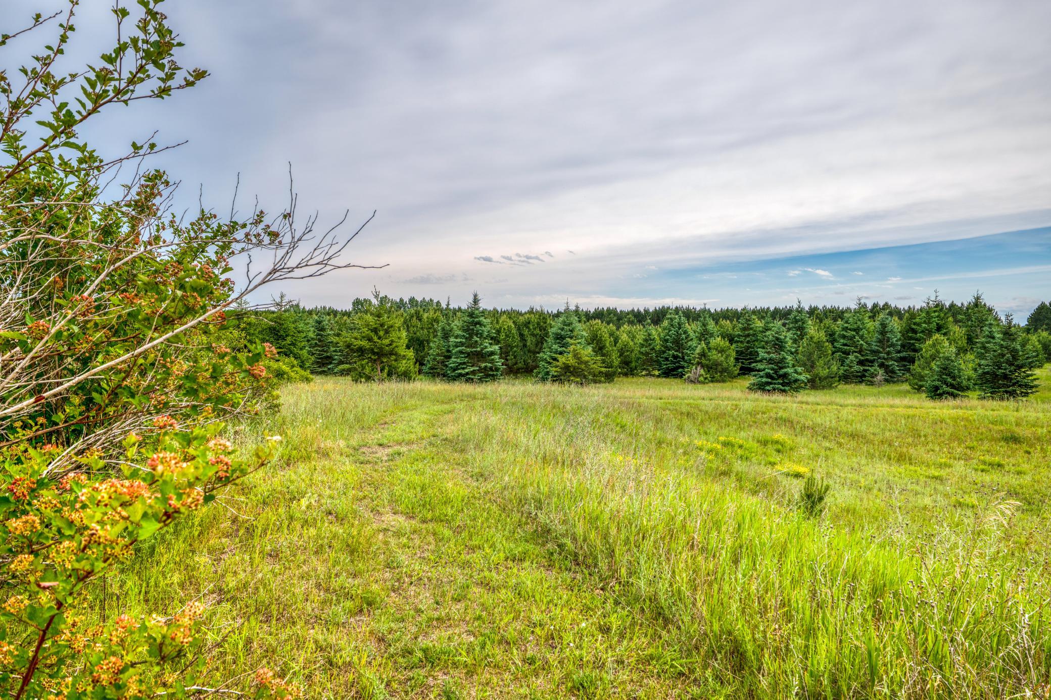 2008 single family home for sale at 1320 Whiting Road NW, Unit 39 in Bemidji, MN — 4 bed, 3 bath (photo 82 of 95)