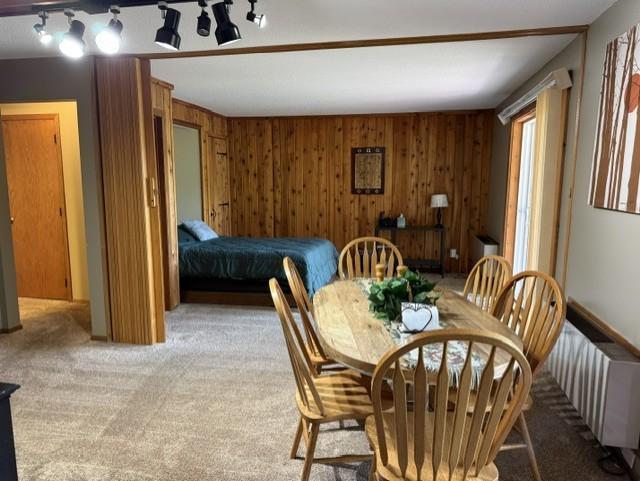 538 Quadna Mountain Road, Hill City MN 55748 - Photo 16 of 33