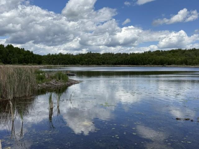 538 Quadna Mountain Road, Hill City MN 55748 - Photo 28 of 33
