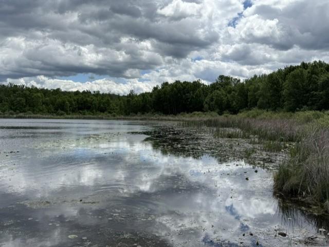 546 Quadna Mountain Road, Hill City MN 55748 - Photo 26 of 33