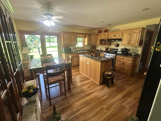 30873 Harris Town Road, Grand Rapids MN 55744 - Photo 9 of 13