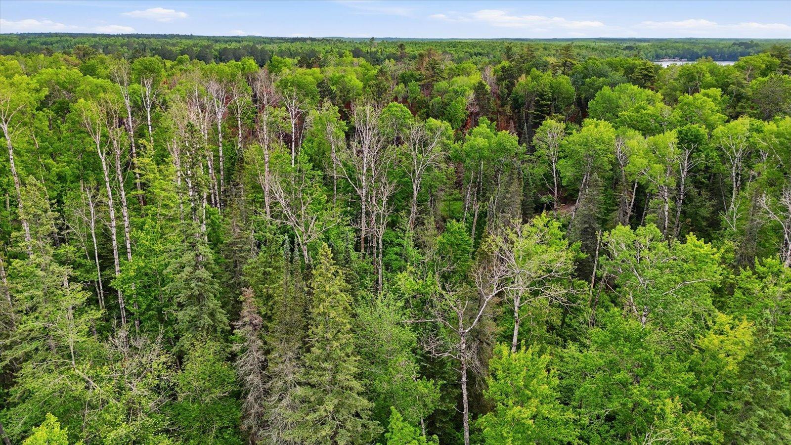 land for sale at tbd tbd in Balsam Twp, MN (photo 13 of 17)