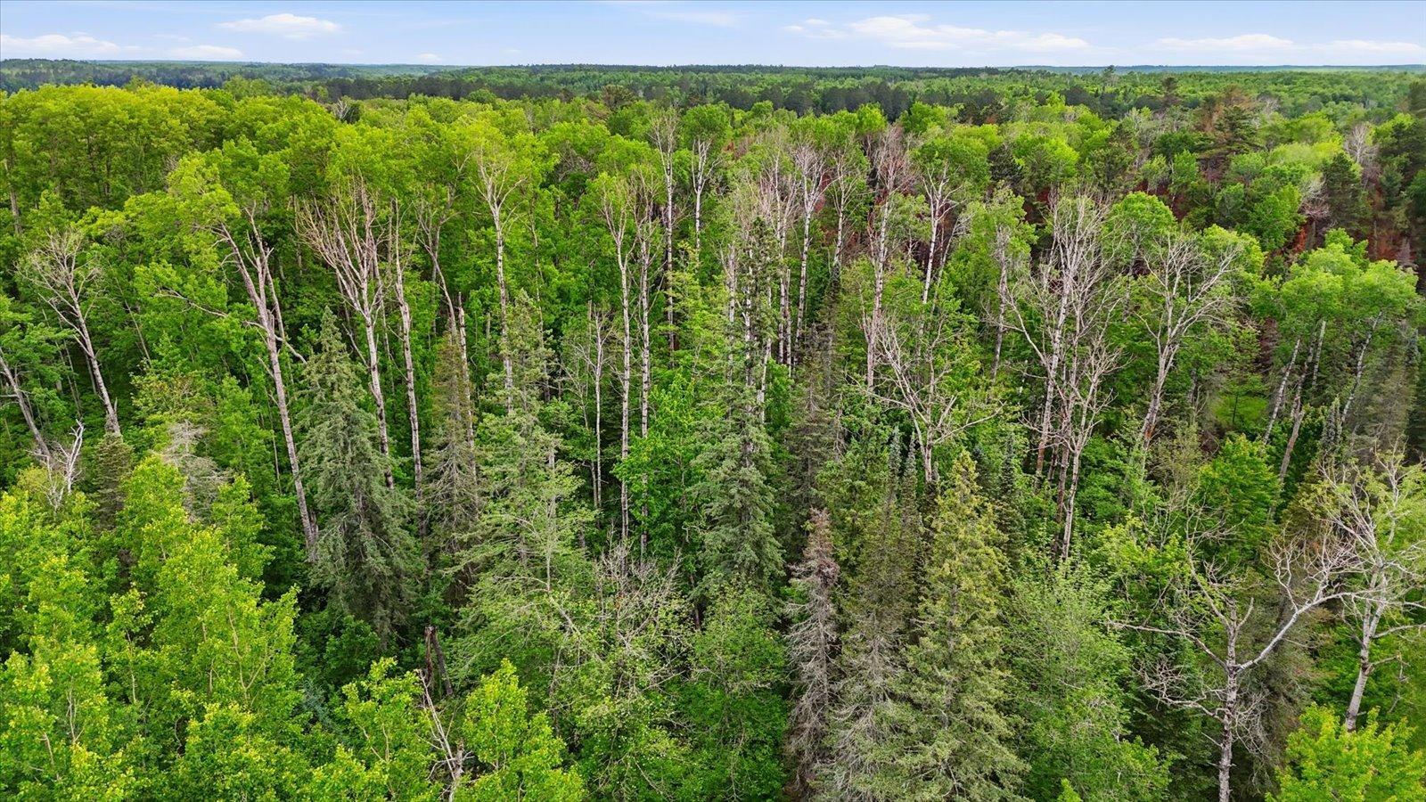 land for sale at tbd tbd in Balsam Twp, MN (photo 14 of 17)