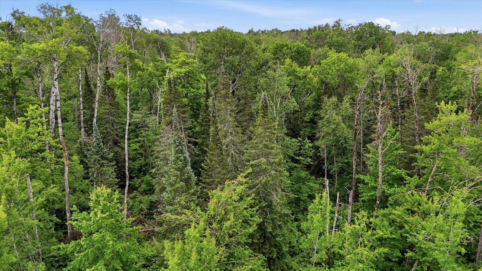 land for sale at tbd tbd in Balsam Twp, MN (photo 15 of 17)