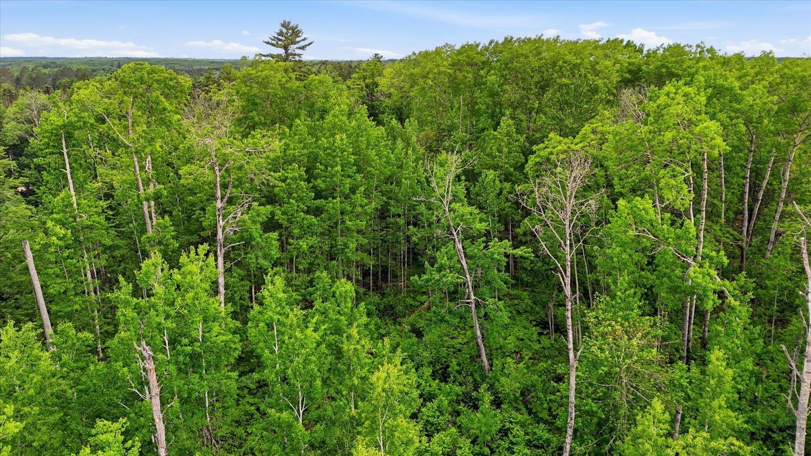 land for sale at tbd tbd in Balsam Twp, MN (photo 16 of 17)