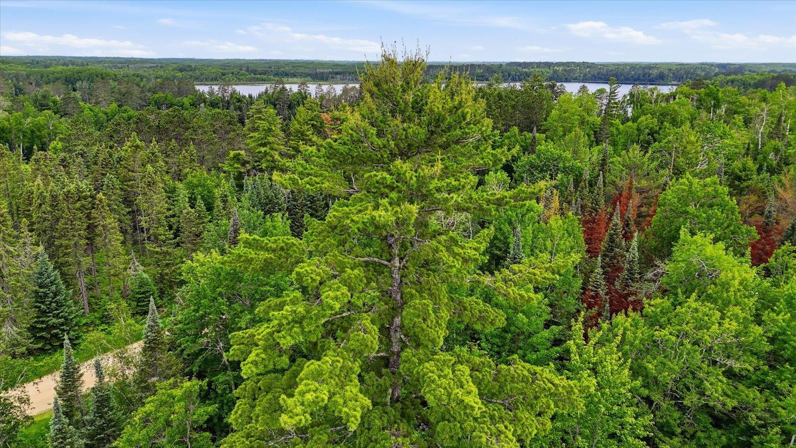 land for sale at tbd tbd in Balsam Twp, MN (photo 17 of 17)