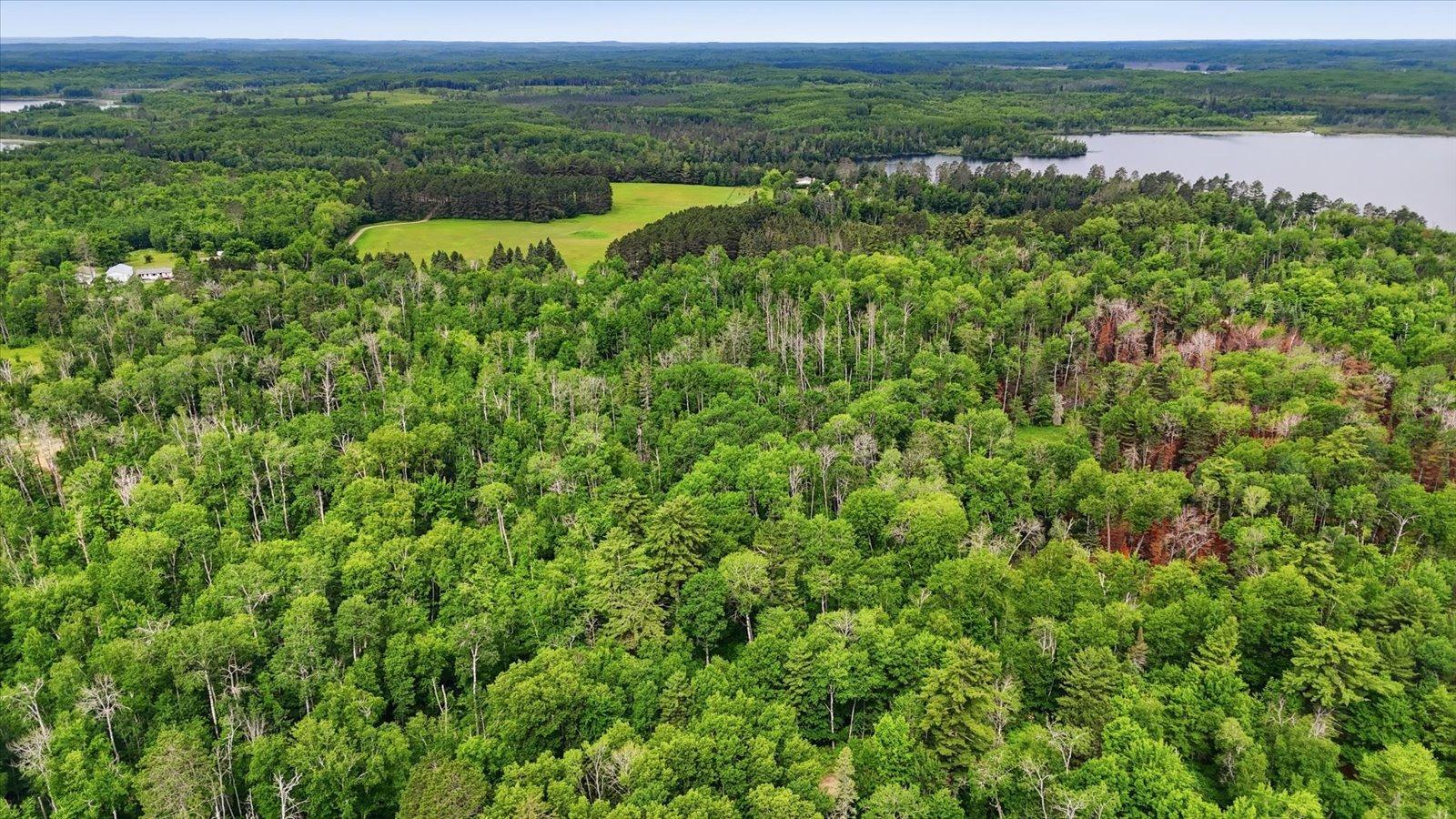 land for sale at tbd tbd in Balsam Twp, MN (photo 5 of 17)