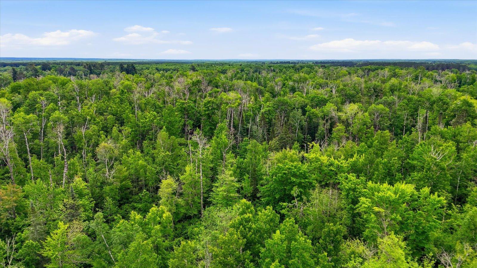 land for sale at tbd tbd in Balsam Twp, MN (photo 7 of 17)