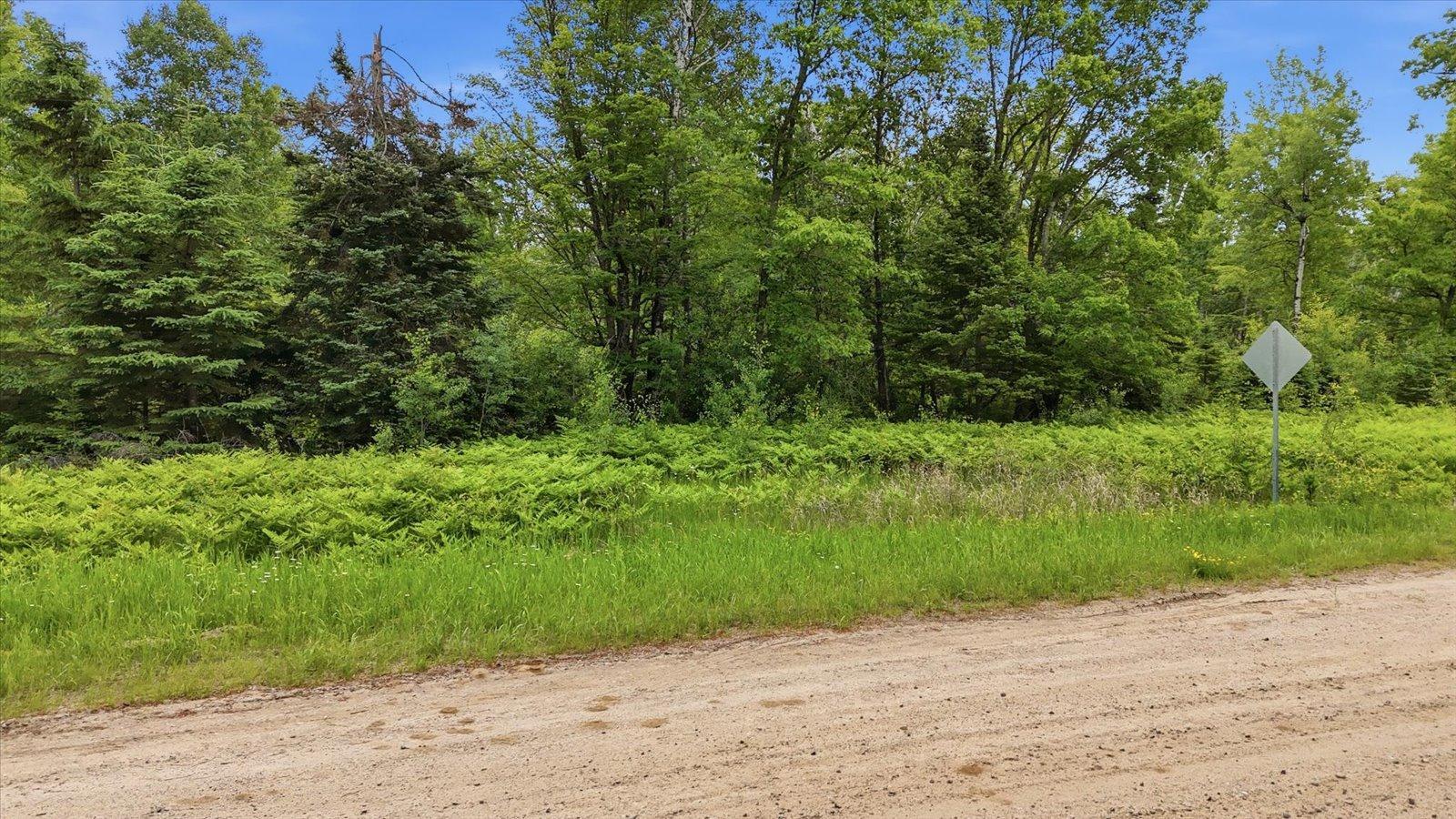 land for sale at tbd tbd in Balsam Twp, MN (photo 8 of 17)