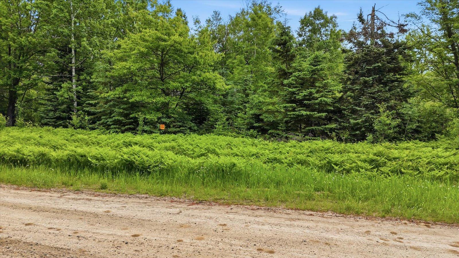 land for sale at tbd tbd in Balsam Twp, MN (photo 9 of 17)