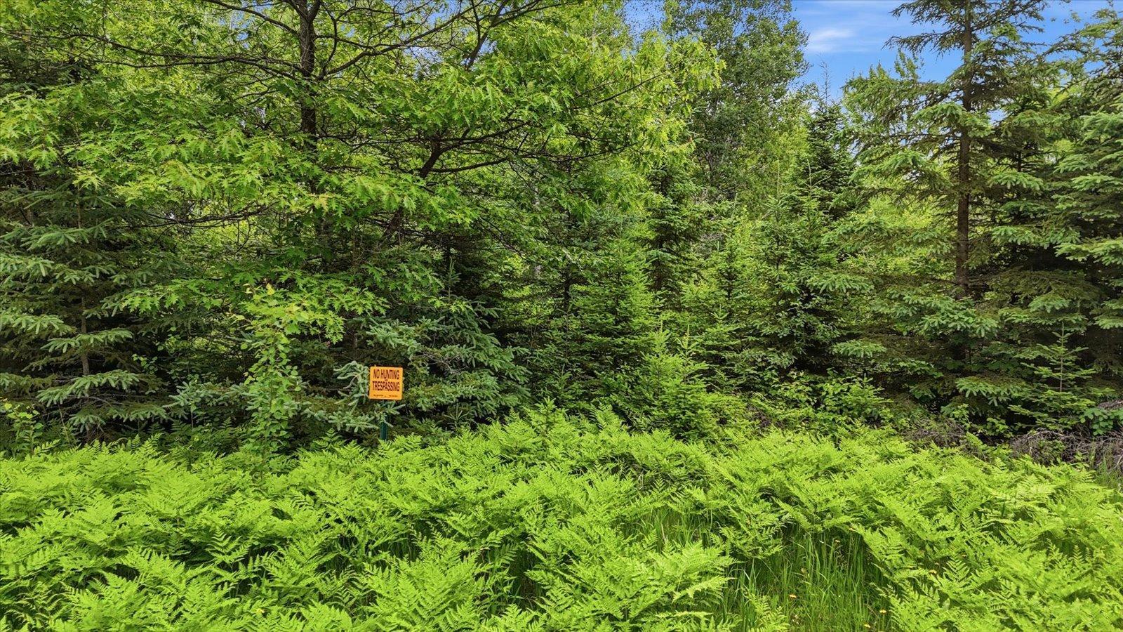 land for sale at tbd tbd in Balsam Twp, MN (photo 10 of 17)