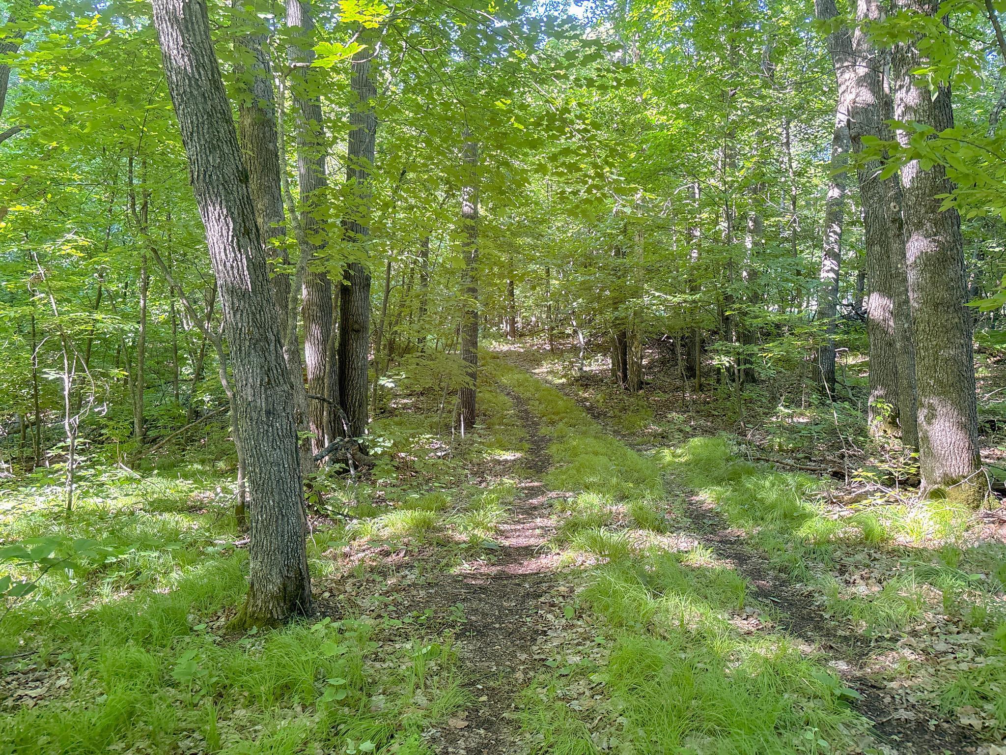 3XXXX 407th Street, Dent MN 56528 - Photo 11 of 32