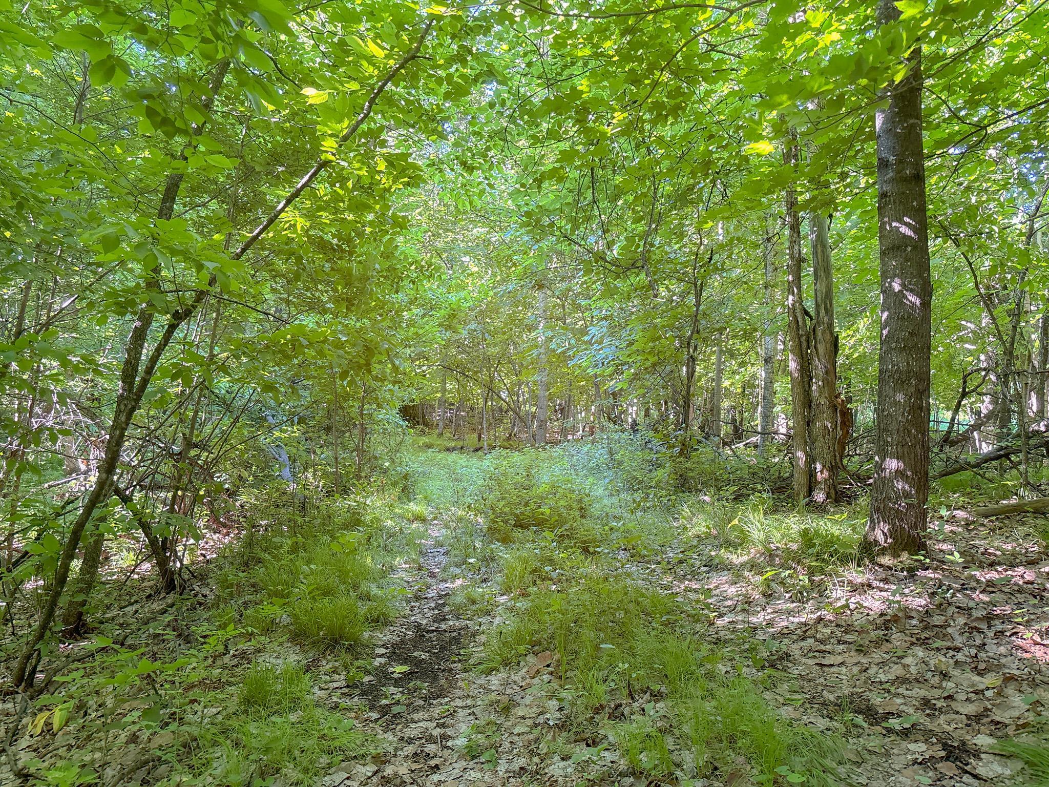3XXXX 407th Street, Dent MN 56528 - Photo 13 of 32