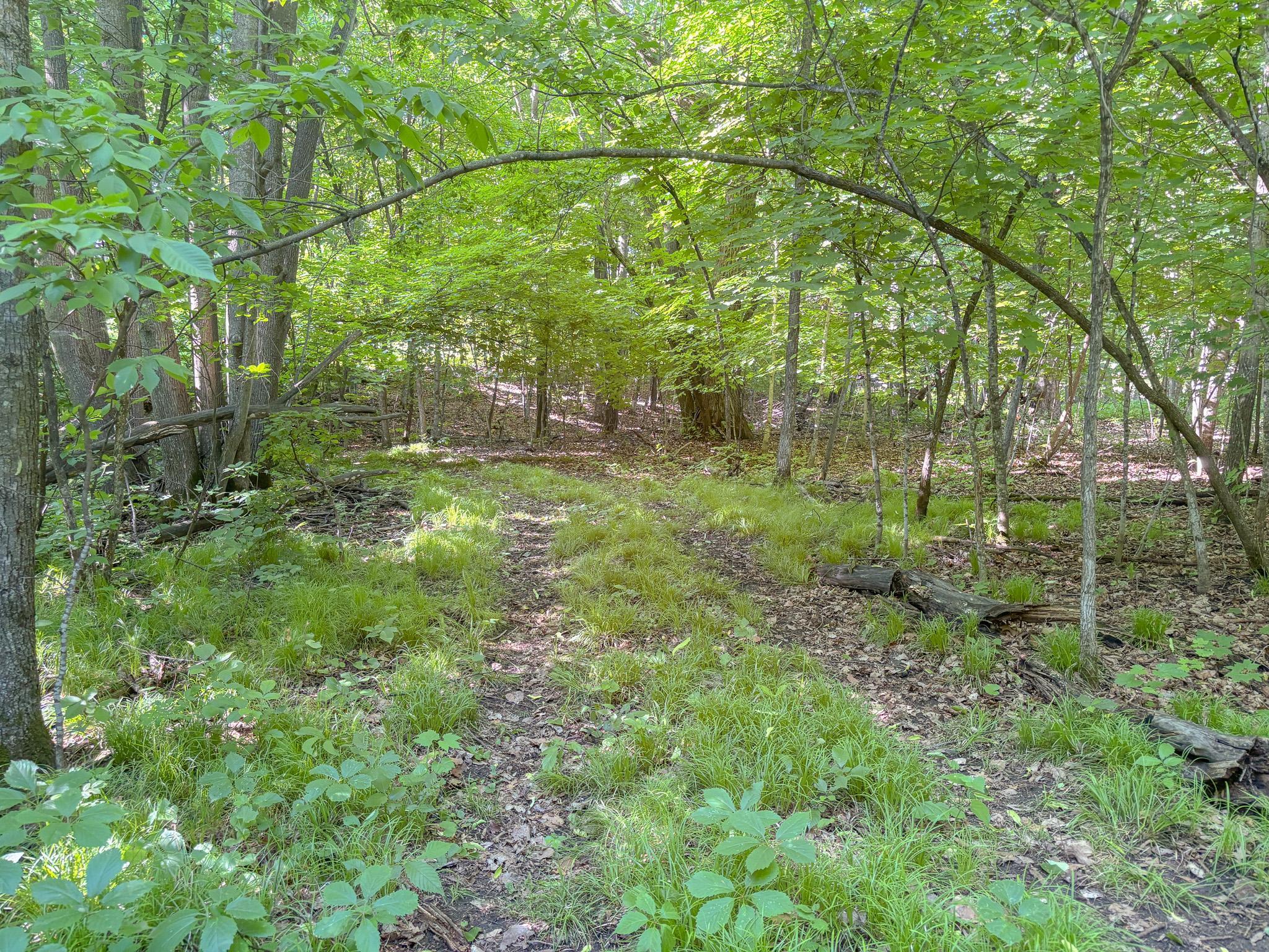 3XXXX 407th Street, Dent MN 56528 - Photo 14 of 32