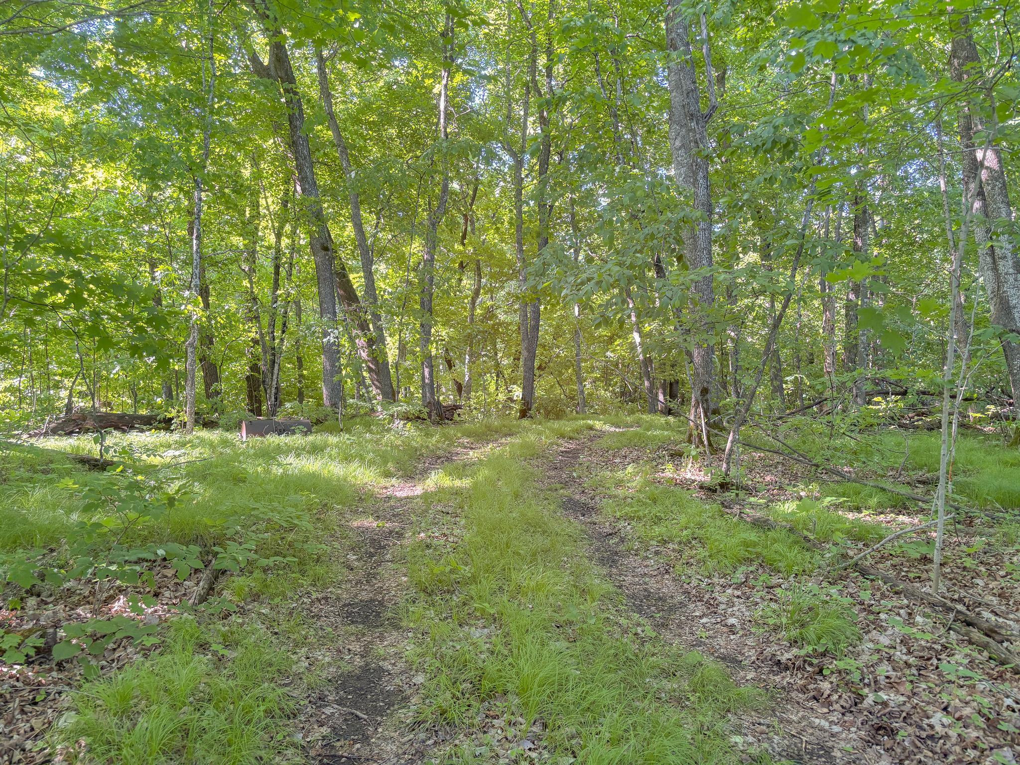 3XXXX 407th Street, Dent MN 56528 - Photo 15 of 32