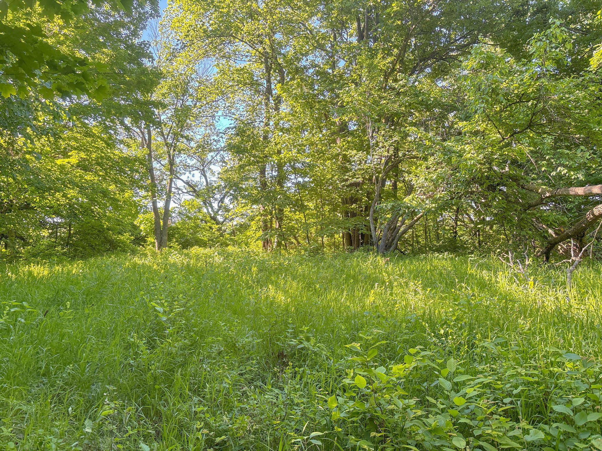3XXXX 407th Street, Dent MN 56528 - Photo 17 of 32