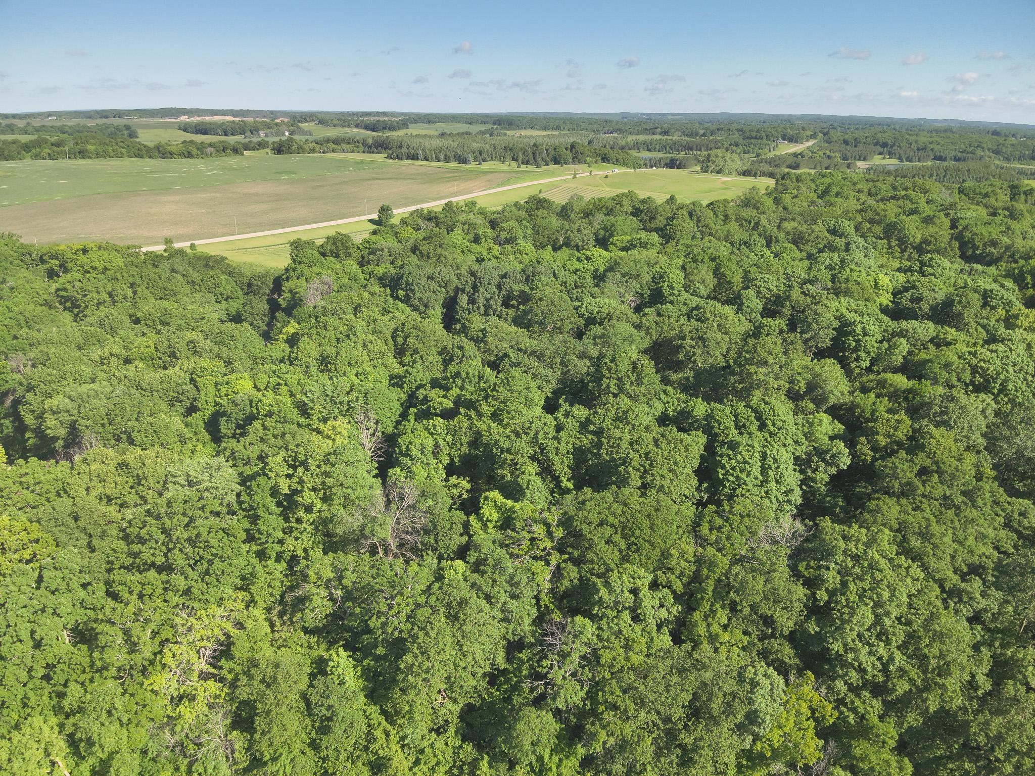 3XXXX 407th Street, Dent MN 56528 - Photo 26 of 32