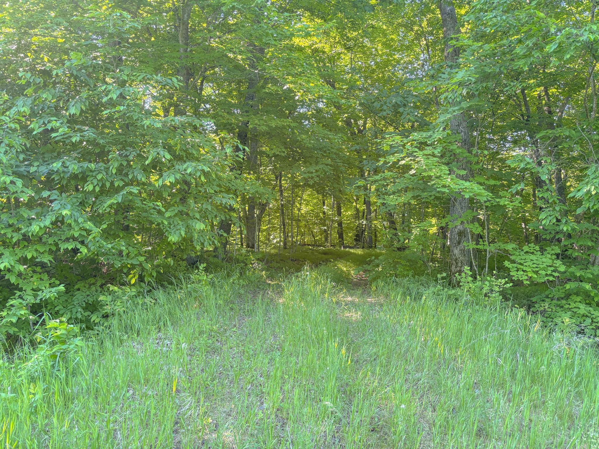 3XXXX 407th Street, Dent MN 56528 - Photo 9 of 32