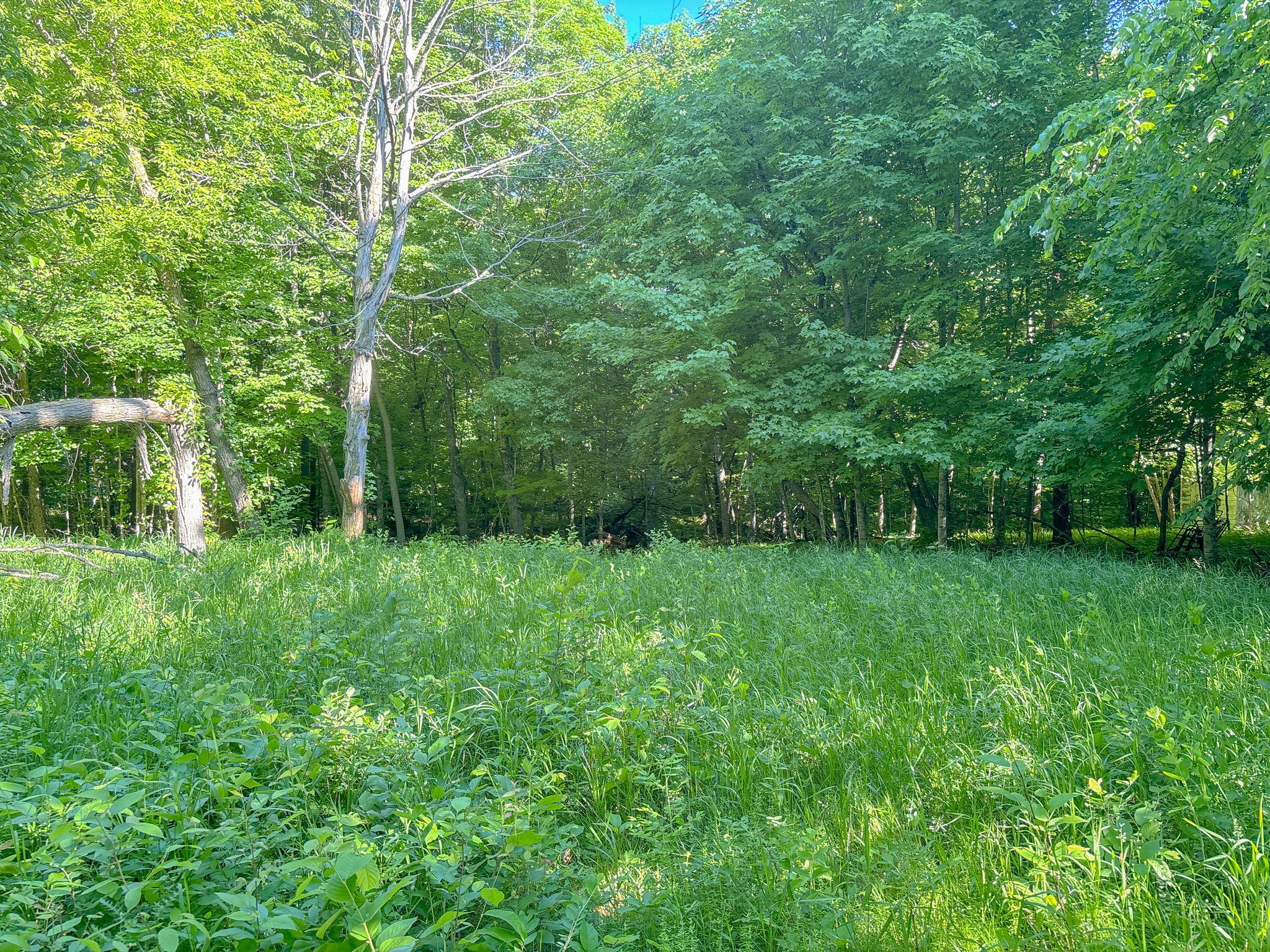 3XXXX 407th Street, Dent MN 56528 - Photo 10 of 32