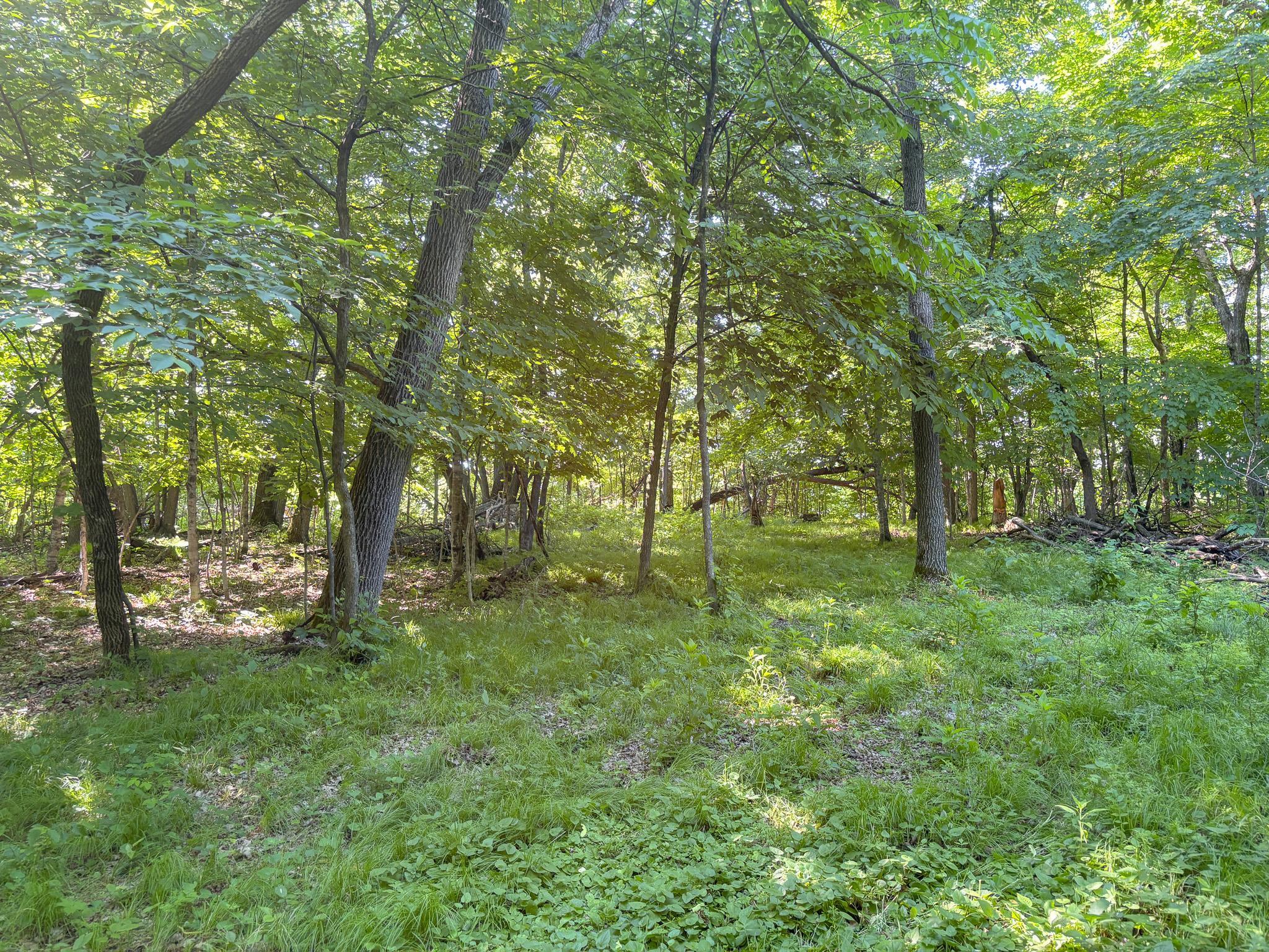 XXXXX 407th Street, Dent MN 56528 - Photo 13 of 38