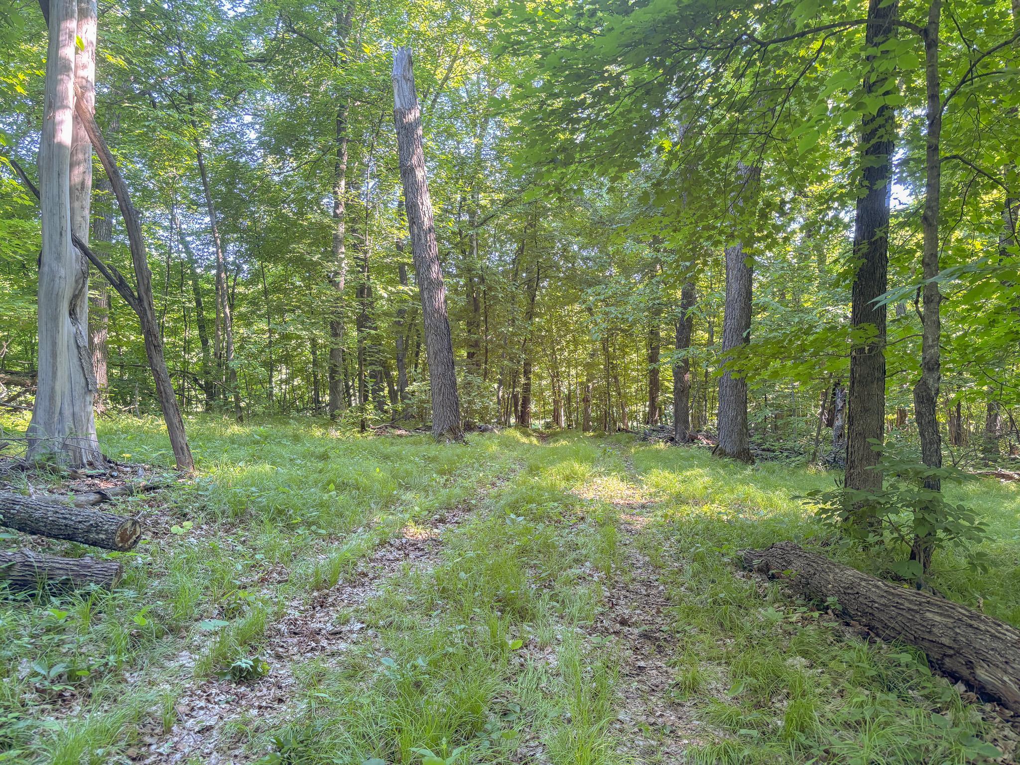 XXXXX 407th Street, Dent MN 56528 - Photo 7 of 38