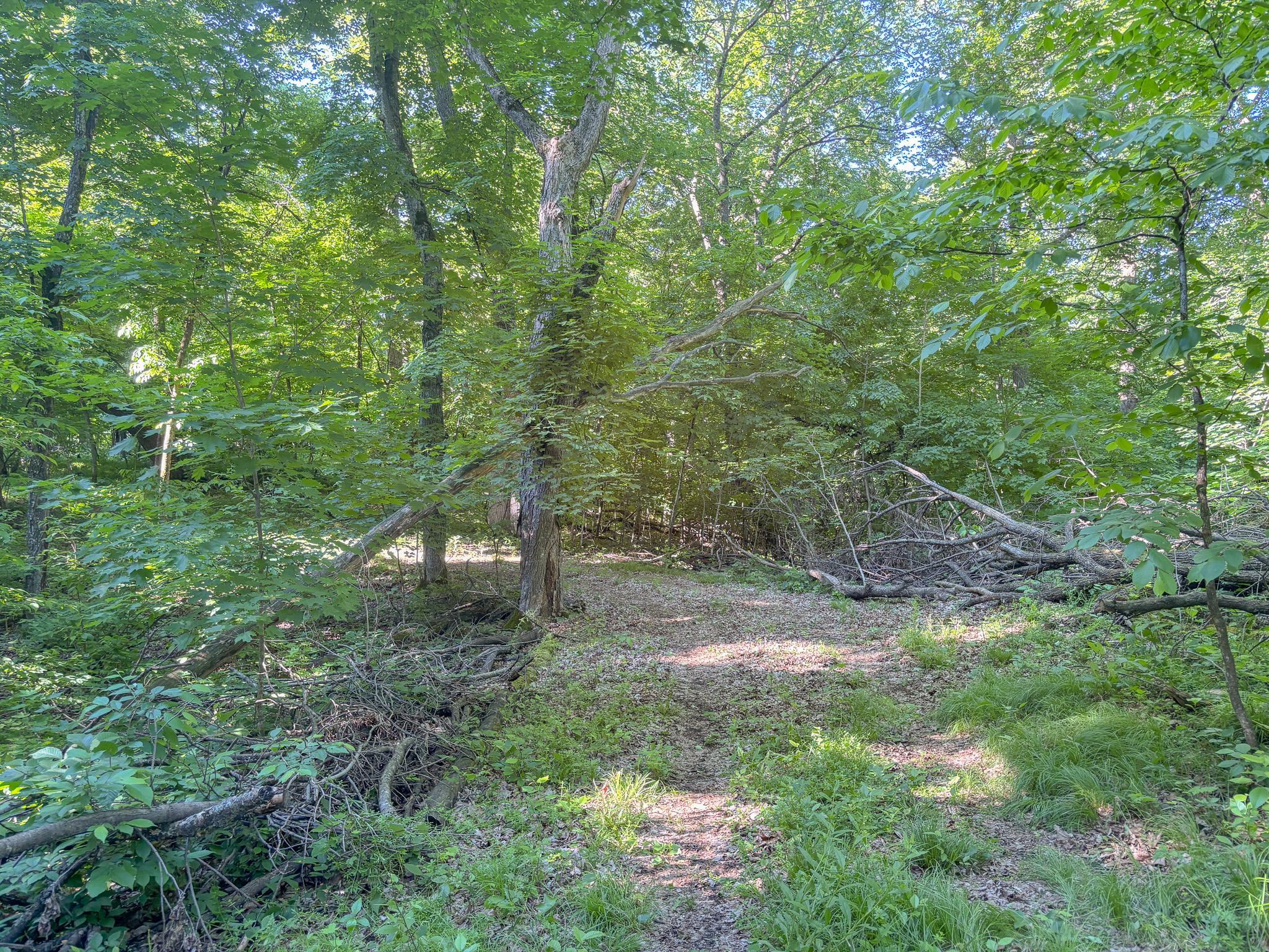 XXXXX 407th Street, Dent MN 56528 - Photo 8 of 38